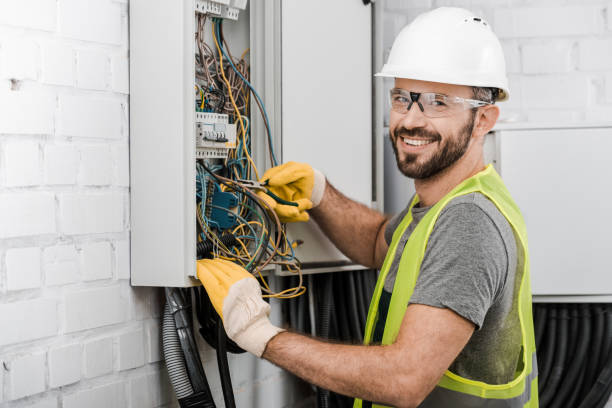 Best Electric Panel Repair  in Dresser, WI